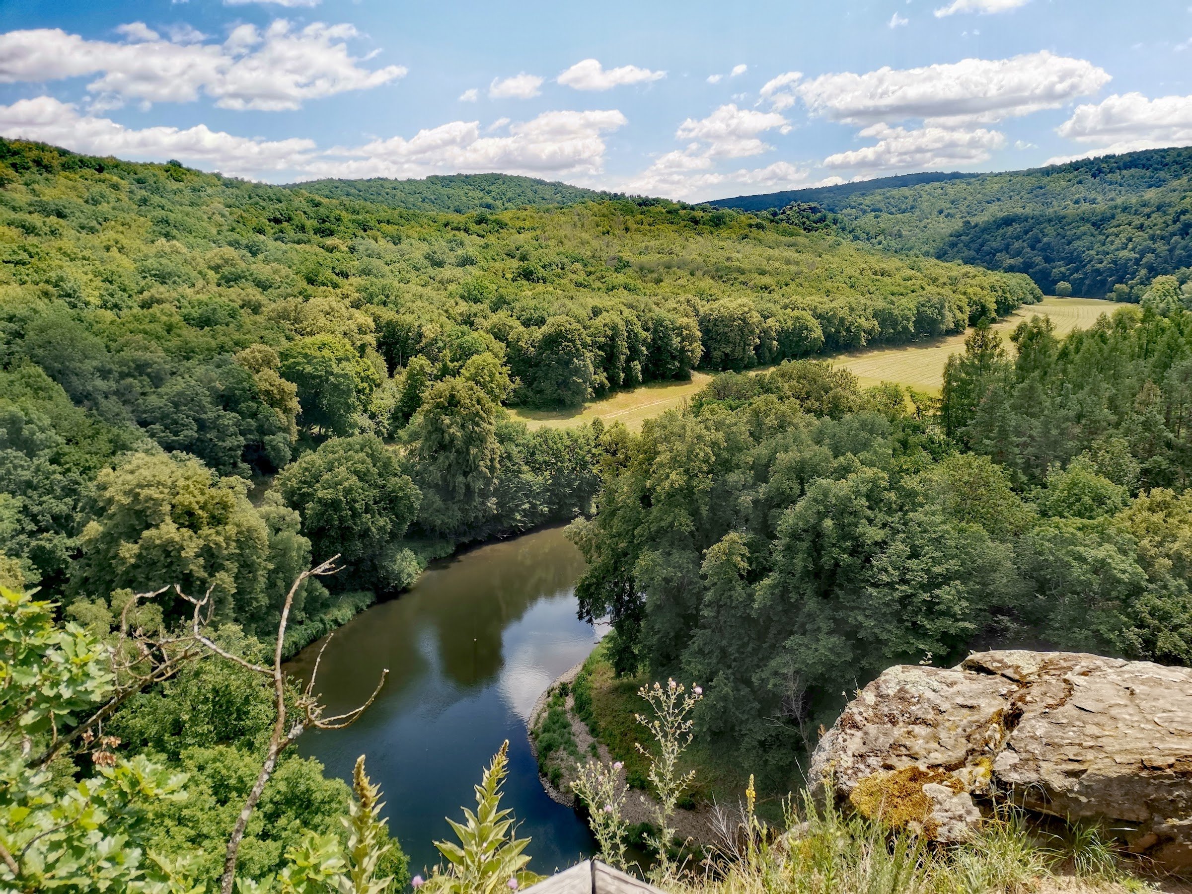 Thayatal National Park
